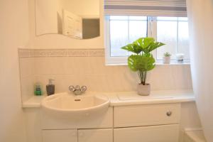 uma casa de banho com um lavatório e um vaso de plantas em The RedBridge House em Swindon