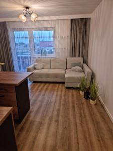 a living room with a couch and a table at Apartament Anna in Leszno