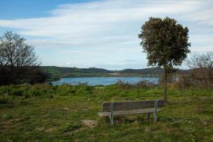 Gallery image of La Dimora del Cavaliere - Stupenda Dimora a 5 Min Dal Lago di Martignano in Anguillara Sabazia