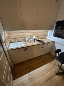 a small kitchen with a sink and a counter at Airport Apartment 32 self check-In Free Parking in Vilnius