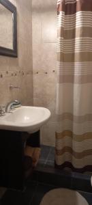 a bathroom with a sink and a shower curtain at Confortable Apartamento en Microcentro in Barraquero