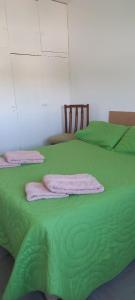 a green bed with green sheets and pillows on it at Confortable Apartamento en Microcentro in Barraquero