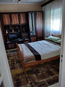 a bedroom with a large bed and a television at Casa Tudor-Nicolae in Borşa
