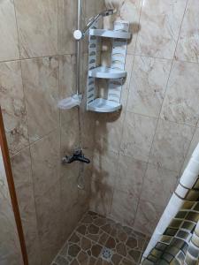 baño con ducha con estanterías y ducha en WoodHouse, en Dilijan