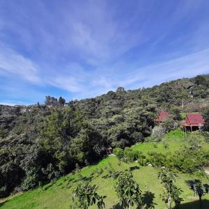 a green hill with a house on top of it at Chalets en Santa Elena en medio del Bosque in Medellín