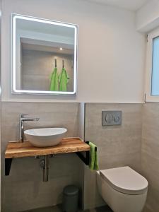 a bathroom with a sink and a toilet and a mirror at Moderne Ferienwohnung Gartenblick in Amtzell
