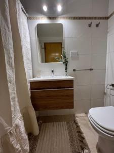 a bathroom with a sink and a mirror and a toilet at Departamento INDIGO in Mendoza