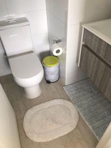 ein kleines Bad mit WC und Teppich in der Unterkunft Elegante y acogedor departamento con gran vista, cercano a todo in Concepción