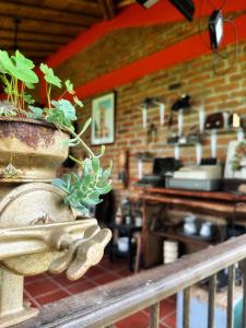 Fotografie z fotogalerie ubytování Finca Hotel Cabaña Fercho v destinaci Quimbaya