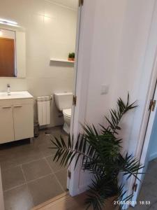 een badkamer met een wit toilet en een wastafel bij Casa Dina in Carballino