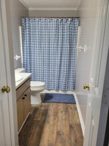 a bathroom with a toilet and a shower curtain at Convenient and Comfortable in Macon
