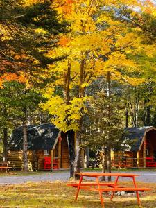 una mesa de picnic roja frente a una cabaña de madera en Glenview Cottages, en Sault Ste. Marie
