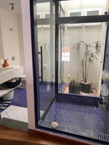 uma casa de banho com uma cabina de duche em vidro com plantas em Solar Antônio Dias em Ouro Preto