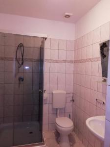 a bathroom with a toilet and a shower and a sink at ZAJAZD Wałbrzych in Wałbrzych