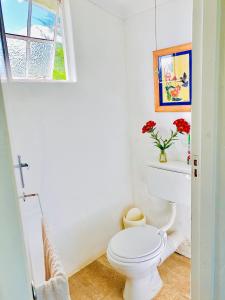 a bathroom with a white toilet and a window at Bellevue Berg Cottage in Bergville