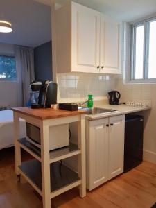 uma cozinha com um lavatório e uma bancada em Bright and Spacious Studio Apartment em Montreal