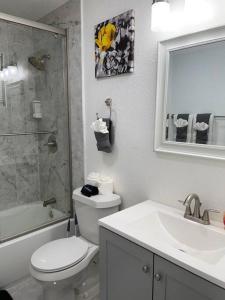 a bathroom with a toilet and a sink and a mirror at Four Bedroom Home Near Hartsfield Jackson Airport in Riverdale