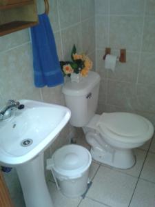 La salle de bains est pourvue de toilettes blanches et d'un lavabo. dans l'établissement Hosteria Rayen, à La Junta