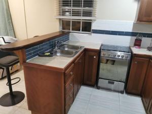 una cucina con lavandino e piano cottura di flamboyantvilla a Gros Islet