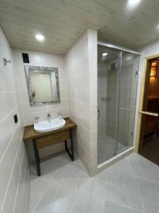 La salle de bains est pourvue d'un lavabo et d'une douche. dans l'établissement Promenade Burabay halal-apartments (no alcohol, no unmarried couples)), à Borovoe