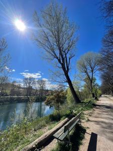 Un banco del parque junto a un río con el sol. en Fior di Loto Suite - Antonelli, en Turín