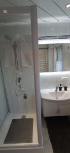 ein Bad mit einer Dusche und einem Waschbecken in der Unterkunft Haus Elli in Greifenburg