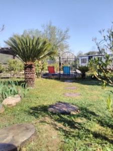 einen Garten mit einer Palme und einer Schaukel in der Unterkunft LES GORGES DU VERDON chalet in Riez