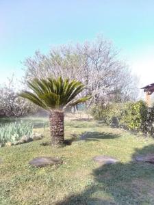 Vonkajšia záhrada v ubytovaní LES GORGES DU VERDON chalet