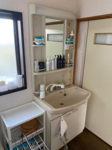 a bathroom with a sink and a mirror at 花緑里-Hanamidori-菅田ほたるの里 岐阜下呂関田園里山リゾート in Gujo