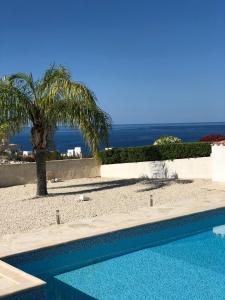 a swimming pool with a palm tree and the ocean at Amazing Villa with panoramic sea view in Paphos