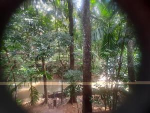 uma vista para uma estrada de terra através de uma floresta em Hotel Yelona em Kegalle
