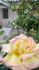 Giardino di Maestrale