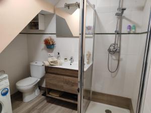uma casa de banho com um chuveiro, um WC e um lavatório. em Casita Marinera em Cambados