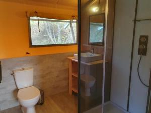 a bathroom with a toilet and a sink and a shower at Luxury Safari Tents at Moulin Du Pommier Glamping & Camping in Saulgond