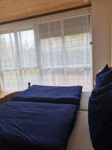 um quarto com uma cama azul e uma janela em Haus zum Talblick em Solnhofen