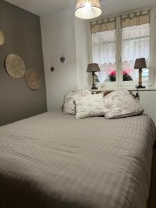 een slaapkamer met een bed met 2 kussens en een raam bij Le Schdorky in Colmar