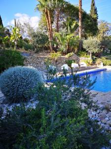 een tuin met een zwembad met stoelen en bomen bij Finca Dariana Padel & Pool in Alora