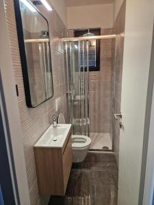 a bathroom with a toilet and a sink and a shower at Apartman Ana in Draga Bašćanska