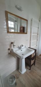 ein Badezimmer mit einem weißen Waschbecken und einem Spiegel in der Unterkunft Maisonettewohnung in Elbnähe in Dresden