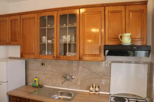 Kuchyň nebo kuchyňský kout v ubytování Apartment Grgas-Tucilo + 37 fotografií