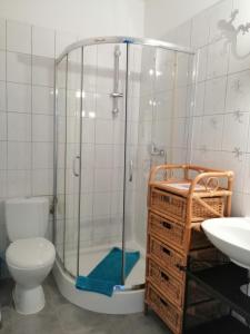 uma casa de banho com um chuveiro, um WC e um lavatório. em Hasthaushof em Breitscheid