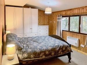a bedroom with a bed and cabinets and a table at Merlins Cabin in Cenarth