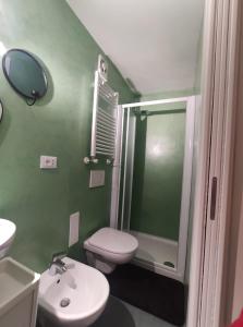 ein grünes Bad mit einem WC und einer Dusche in der Unterkunft Alloggio con parcheggio e vista - A due passi dal Paradiso in Camogli