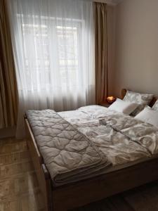 Un pat sau paturi într-o cameră la Apartman VALI1