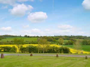 a field of yellow flowers and a road at The Hop Bind in Bromyard