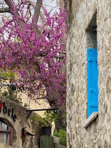 a tree with purple flowers next to a building with a window at Bellapais Abbey Boutique Hotel in Kyrenia