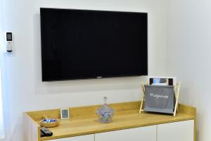 TV a/nebo společenská místnost v ubytování Apartment Maris Sinj