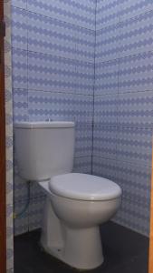 a white toilet in a bathroom with a blue wall at Taras Homestay in Seribu