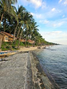 una playa con palmeras y gente en el agua en Venus Phu Quoc Hotel, en Phu Quoc