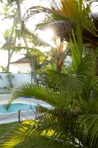 Πισίνα στο ή κοντά στο 7BD Surf House +16 φωτογραφίες